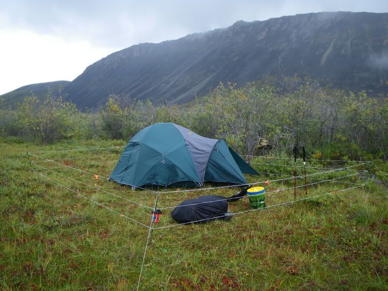 Best bear protection for tent/camp?